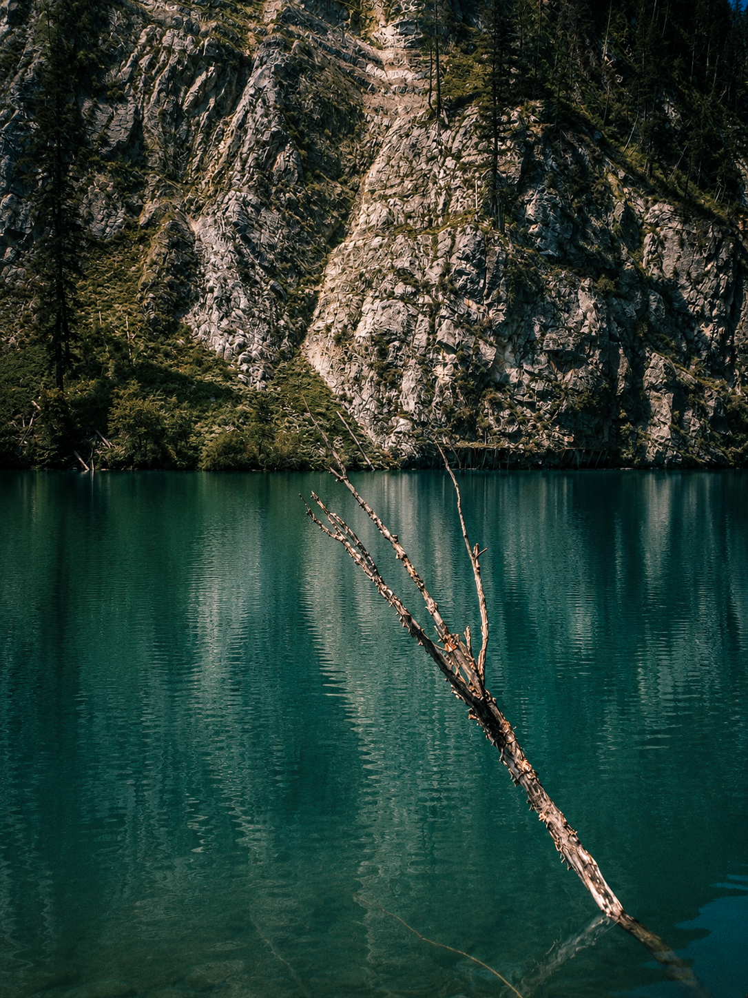 Turquoise lake and a branch in Jiuzhaigou