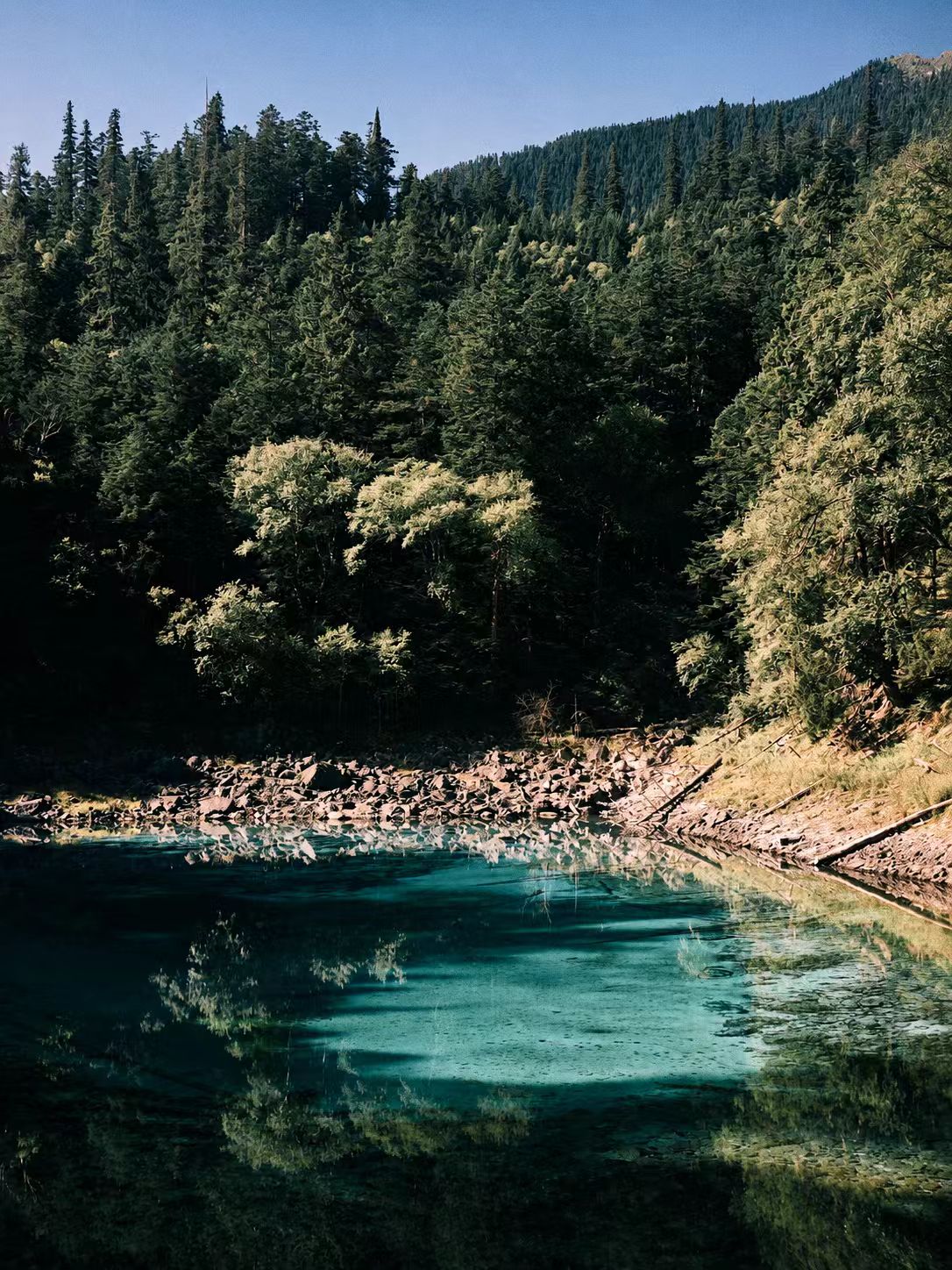 Emerald shore in Jiuzhaigou