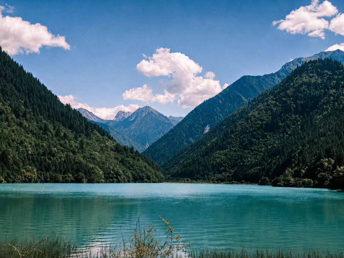 Valley lake in Jiuzhaigou