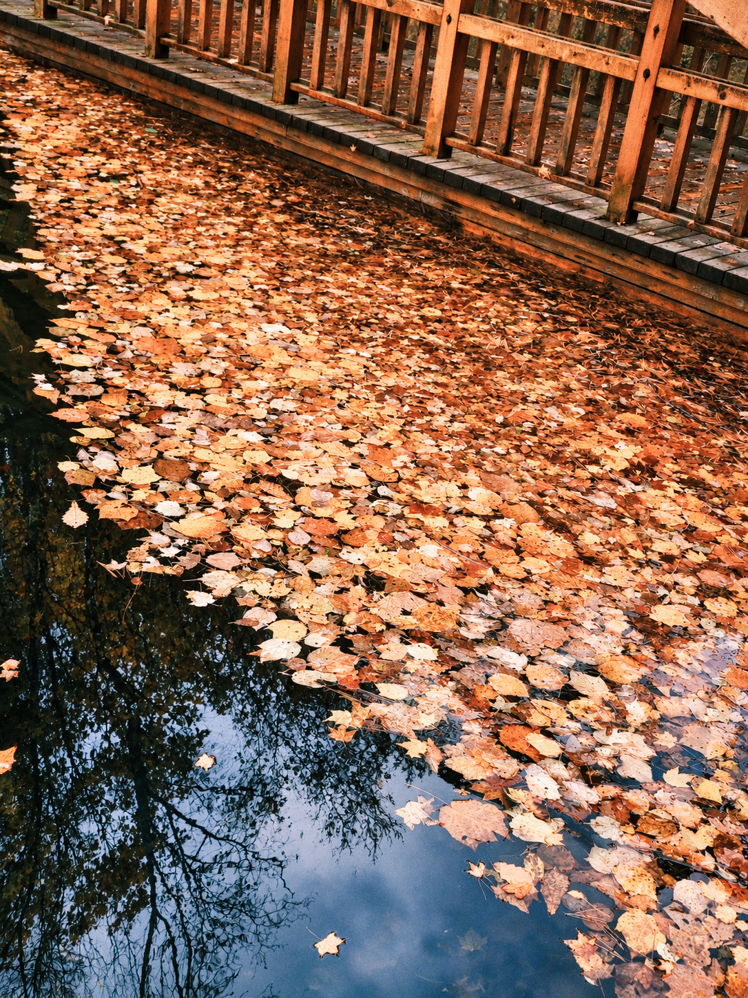 Scenery in Tonghua
